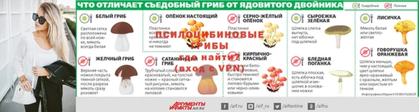 spice Богородск