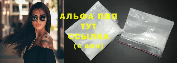 spice Богородск