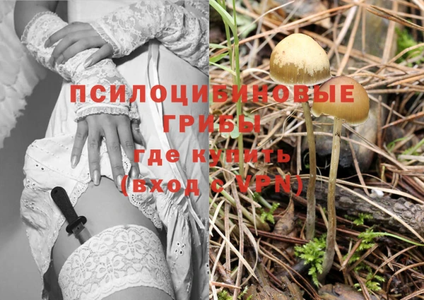 кристаллы Богданович