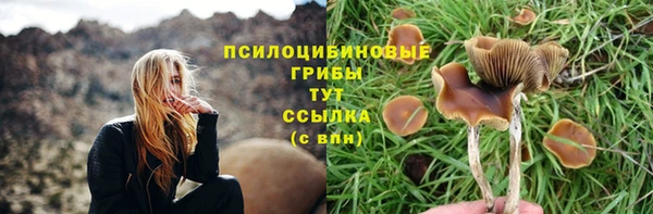 кристаллы Богданович