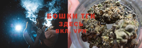 spice Богородск