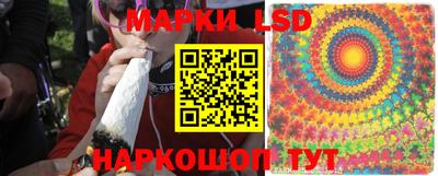 гидра Гай
