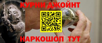 СК Гатчина