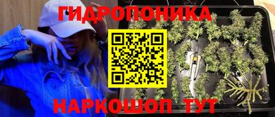 гидра Гай