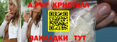 гидра Гай