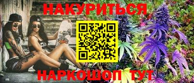 СК Гатчина