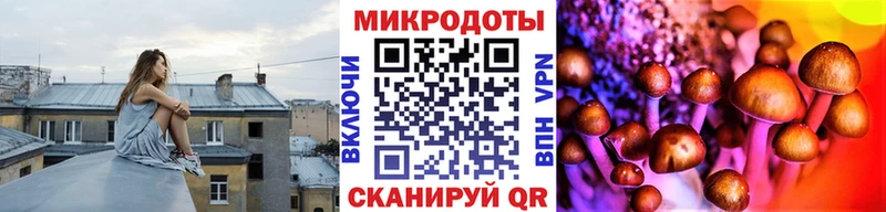 как найти закладки кракен сайт Псилоцибиновые грибы мухоморы Домодедово