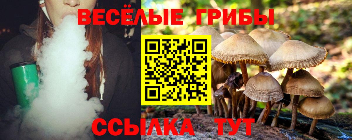 Галлюциногенные грибы Cubensis  Вход с VPN  Домодедово 