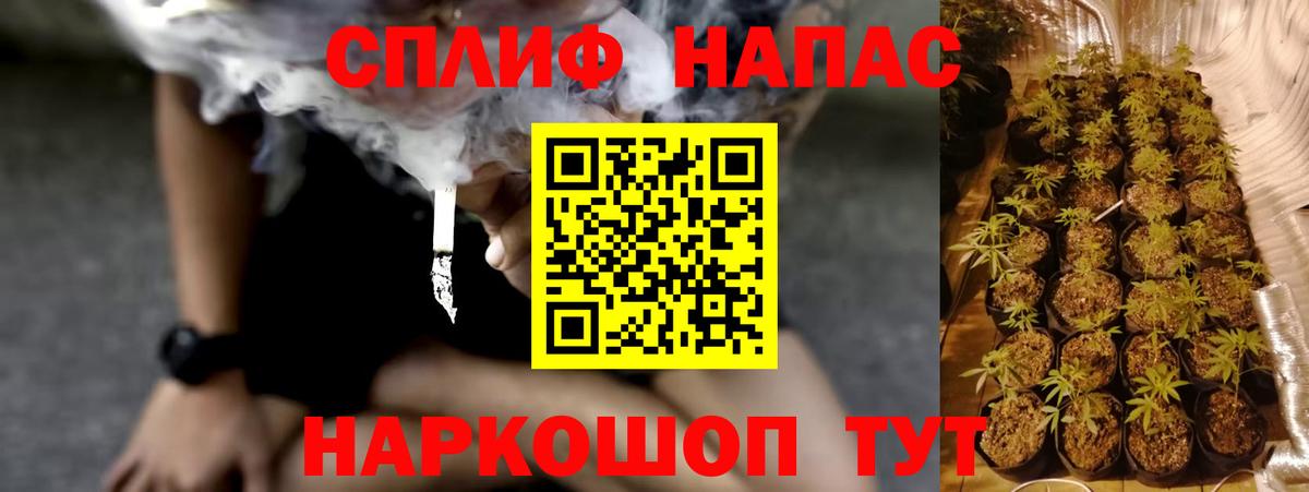 Шишки марихуана сатива  Бошки Шишки VHQ  Домодедово  Вход с VPN  Канабис VHQ 